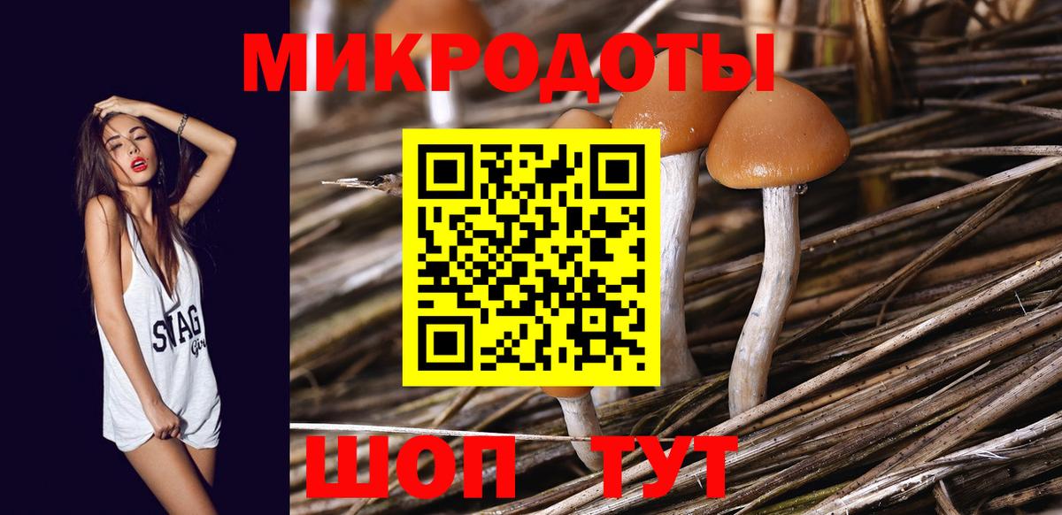 Галлюциногенные грибы Magic Shrooms Новозыбков
