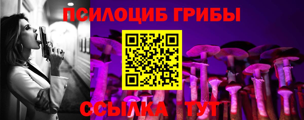 Псилоцибиновые грибы мицелий  купить   Вход с VPN  Новозыбков  Галлюциногенные грибы GOLDEN TEACHER 